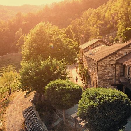 Cascina Bertolotto Wine Resort Spigno Monferrato Εξωτερικό φωτογραφία