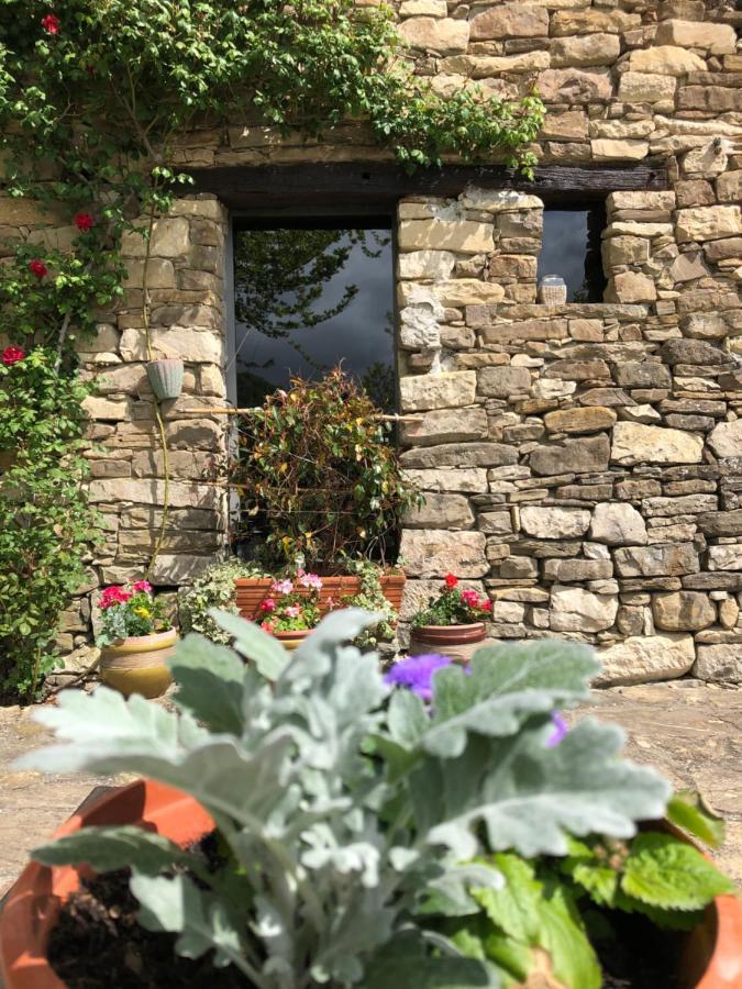 Cascina Bertolotto Wine Resort Spigno Monferrato Εξωτερικό φωτογραφία