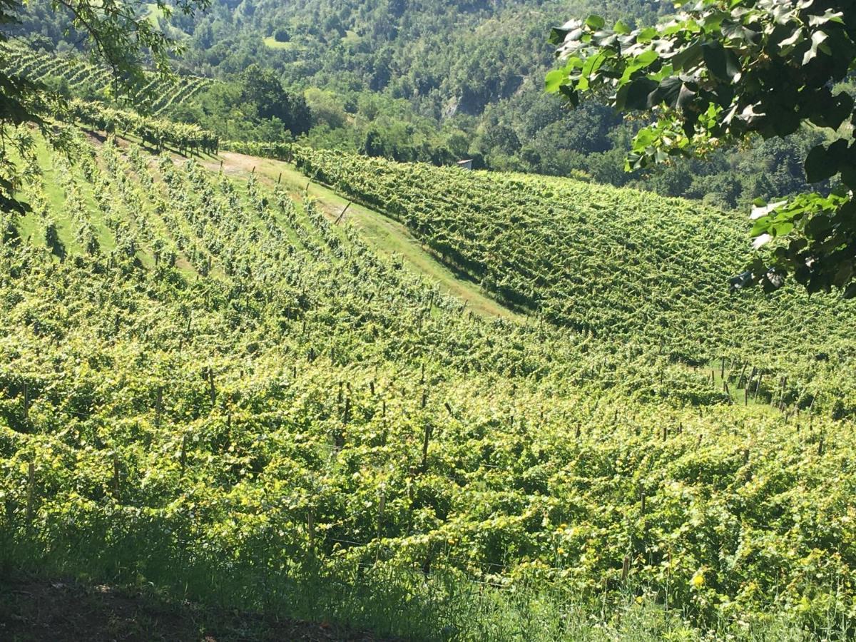 Cascina Bertolotto Wine Resort Spigno Monferrato Εξωτερικό φωτογραφία