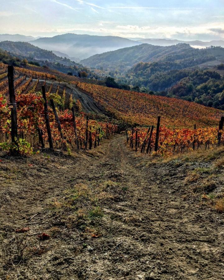 Cascina Bertolotto Wine Resort Spigno Monferrato Εξωτερικό φωτογραφία