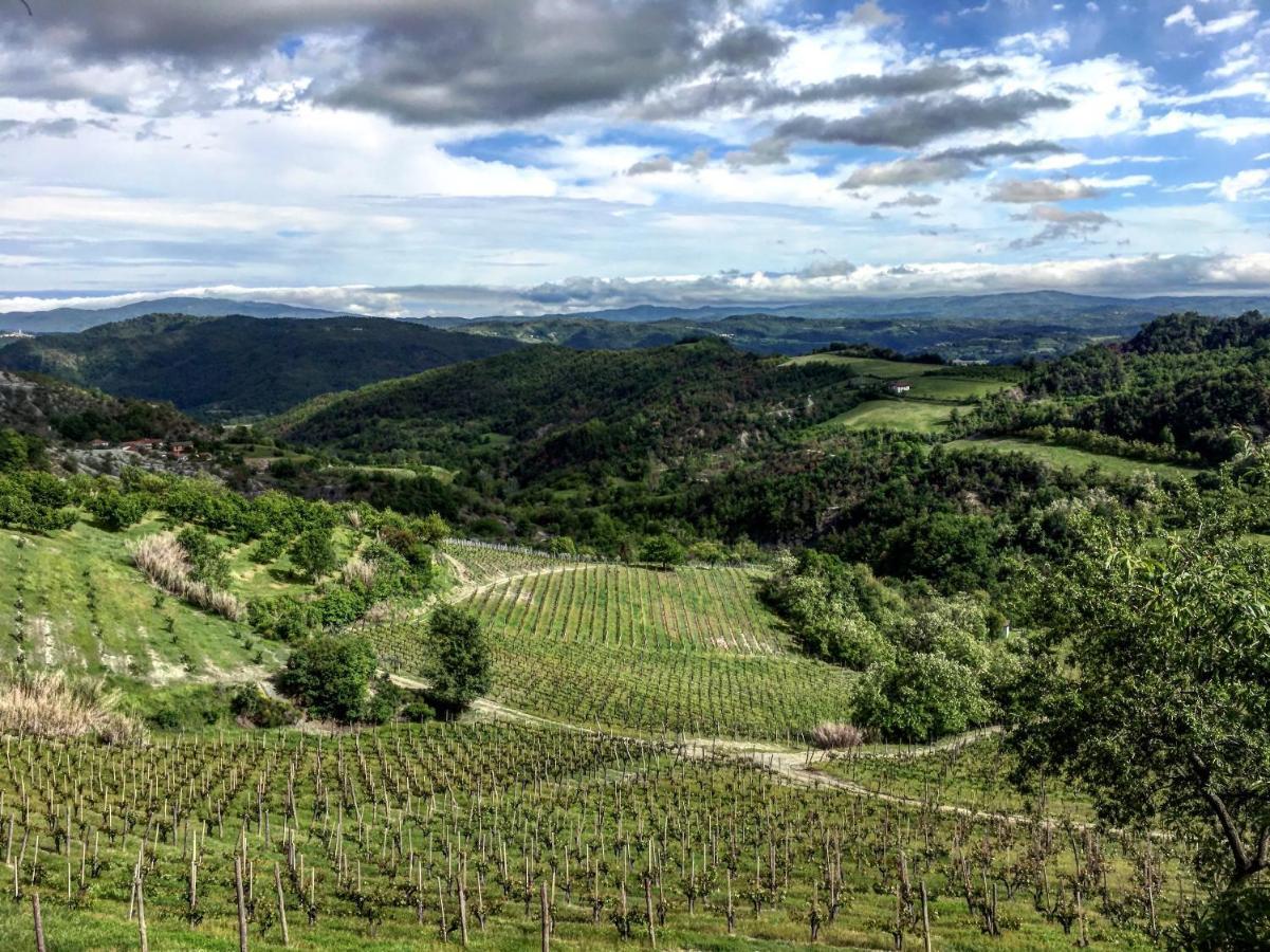 Cascina Bertolotto Wine Resort Spigno Monferrato Εξωτερικό φωτογραφία