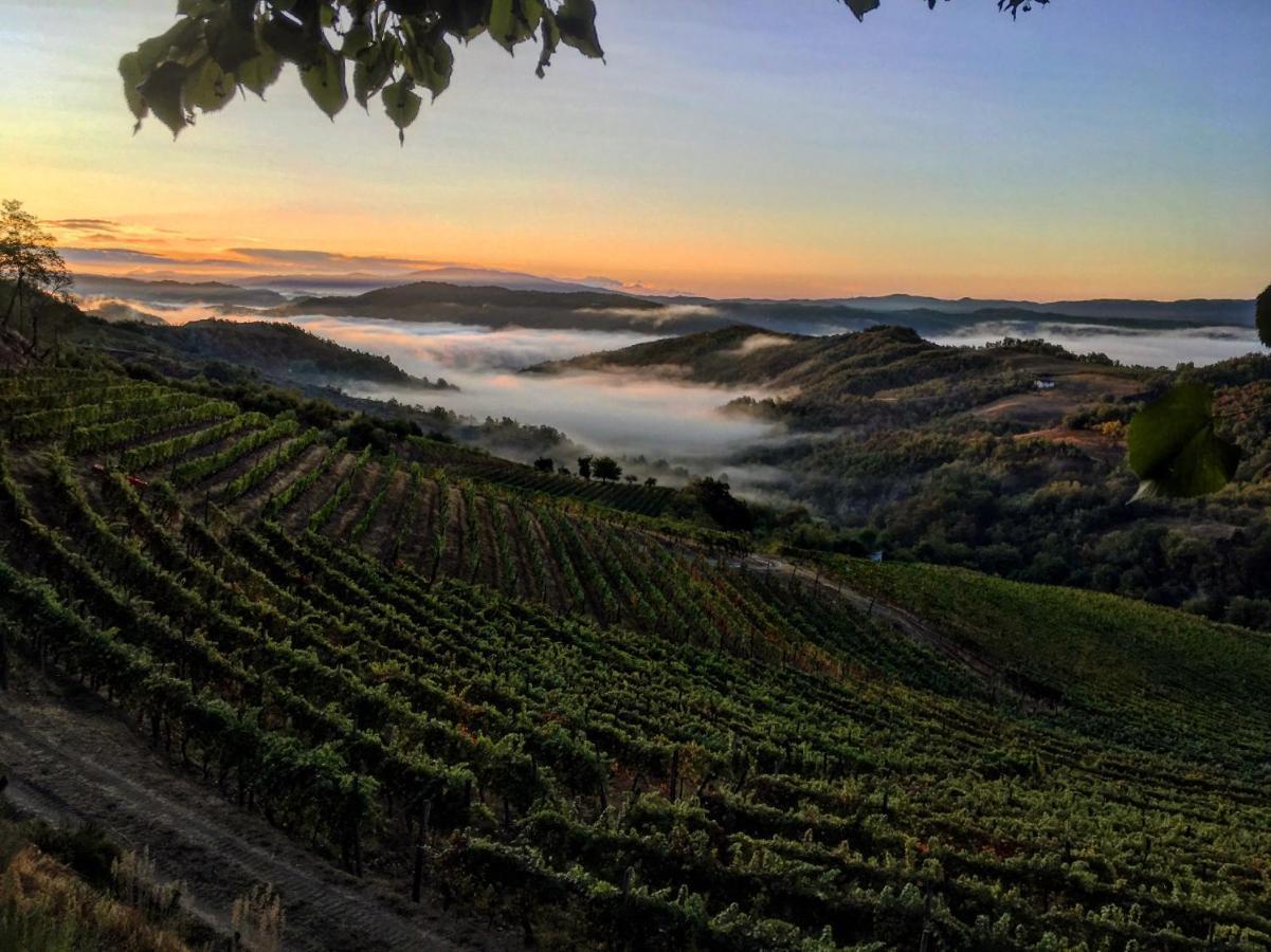 Cascina Bertolotto Wine Resort Spigno Monferrato Εξωτερικό φωτογραφία