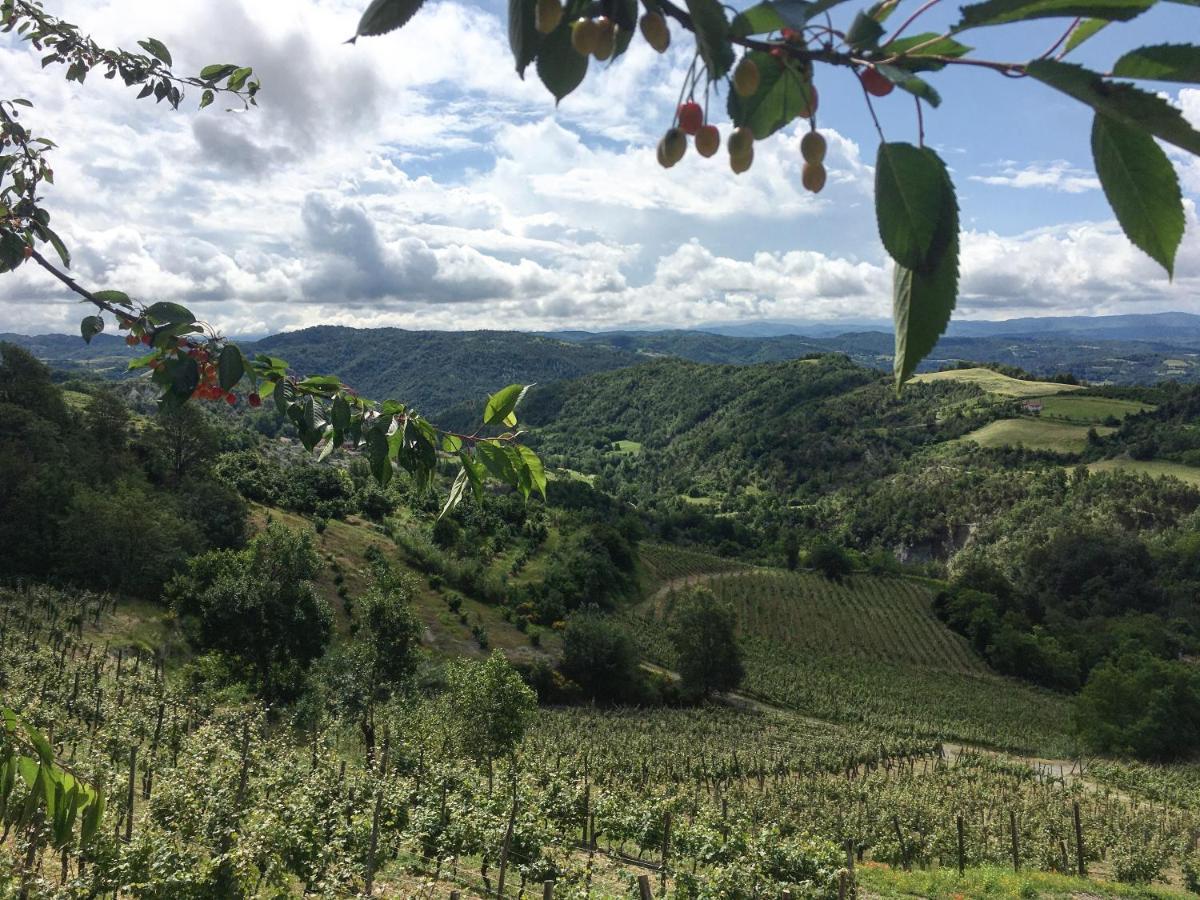 Cascina Bertolotto Wine Resort Spigno Monferrato Εξωτερικό φωτογραφία