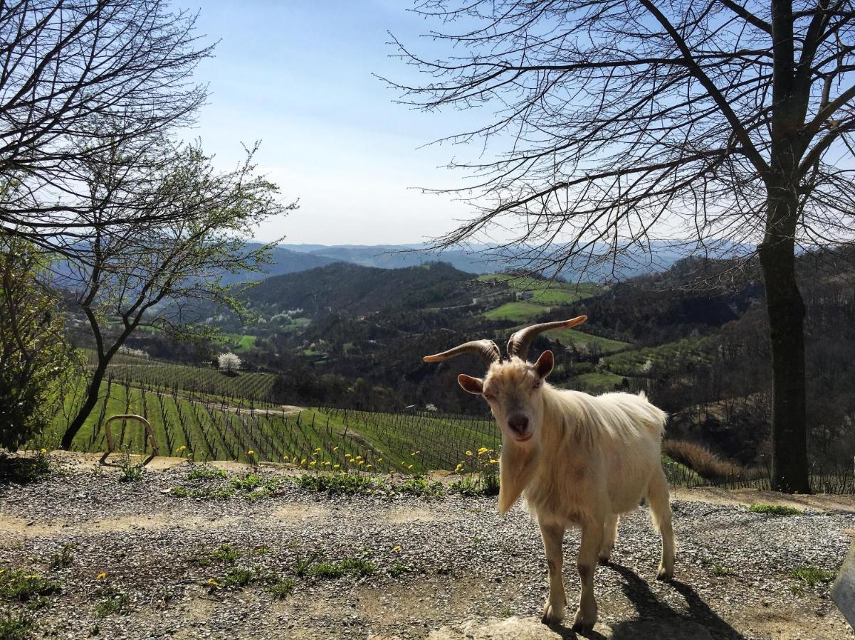 Cascina Bertolotto Wine Resort Spigno Monferrato Εξωτερικό φωτογραφία
