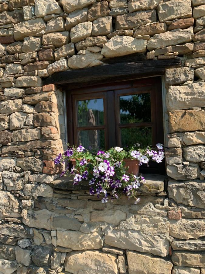 Cascina Bertolotto Wine Resort Spigno Monferrato Εξωτερικό φωτογραφία